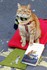 Bob le chat