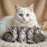 Princesses et animaux