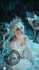 Animaux et princesses