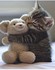 Adorables chats et chatons