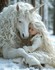 Princesses et animaux