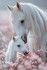 Adorables animaux