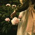 Roses romantiques