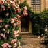 Roses romantiques