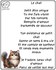 Adorables chats et chatons