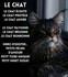 Adorables chats et chatons