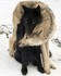 Adorables animaux