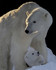 Adorables animaux