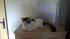Mes chats