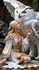 Princesses et animaux