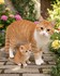 Beaux chats et chatons