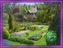 Tolly - The Topiary Cat