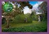 Tolly - The Topiary Cat