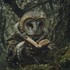"Le Hibou" de Victoria Beata
