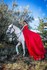 Princesses et animaux