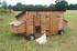 Poules en mobil-home