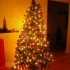 Mon 1er Sapin!