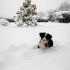 DECOUVERTE DE LA NEIGE
