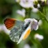 La flore et son environnement