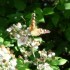 La flore et son environnement