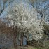 La flore et son environnement