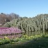 La flore et son environnement