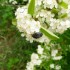 La flore et son environnement