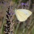 La flore et son environnement