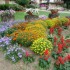 Le jardin de Larnaud