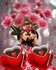 pour vous mes amis et amiies m