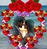 pour vous amis et amies bisous