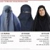 Vive la burqa, le niqab, le hi