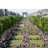 Les Champs aux champs.