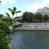 Les pigeons de Paris.