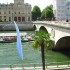 Les pigeons de Paris.