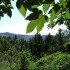 En passant par les Cévennes a