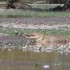 Kakadu national Park