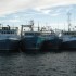 fremantle