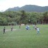 quelques vidéos du dimanche 1