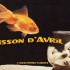 Un poisson qui a fait mordre 