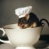 La souris
