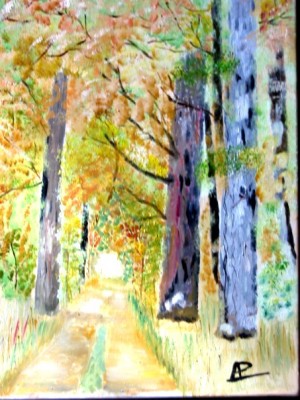 Allée Forêt de Fontainebleau