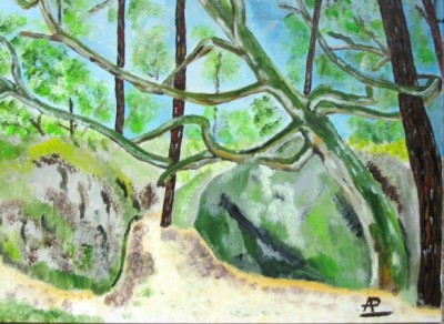 Chêne sur Rocher Forêt de Fontainebleau