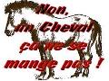 Les chevaux sont nos amis alor