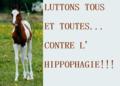 Les chevaux sont nos amis alor