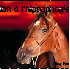 Contre l'Hippophagie