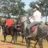 Equipe de Horse-ball (anges et