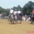 Equipe de Horse-ball (anges et