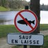 Vive le code !