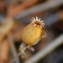 Une macro